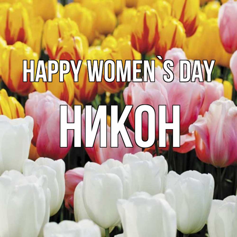Greetings card с именем, Никон happy women`s day разноцветные цветы Greetings with text for free download 